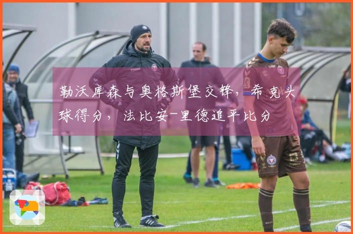勒沃库森与奥格斯堡交锋，希克头球得分，法比安-里德追平比分